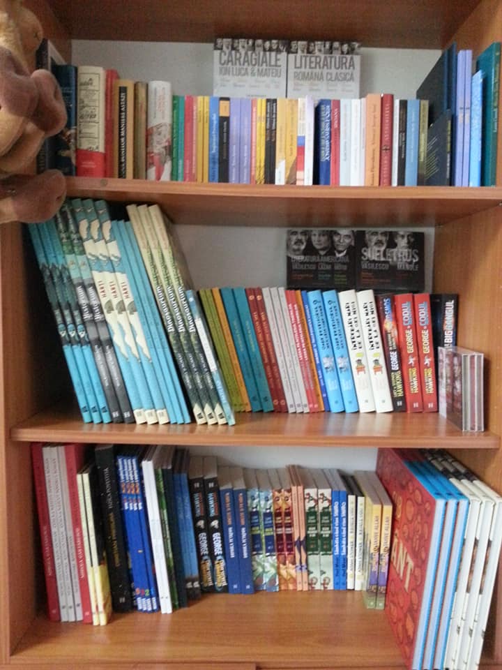 44802401_2238766323034898_5695595790953611264_n